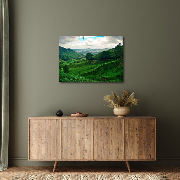 Slika - Plantaže čaja u Maleziji (70x50 cm)