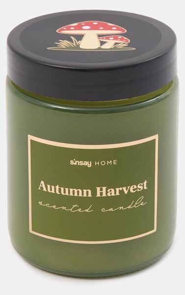 Sinsay - Svijeća Autumn Harvest
