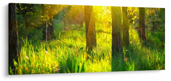 Slika - Proljetno buđenje šume (120x50 cm)