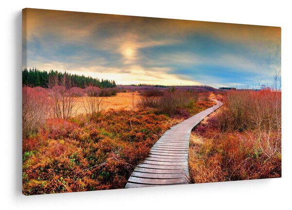 Slika - Jesenska cesta kroz krajolik (90x60 cm)