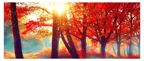 Slika - Jesenski krajolik (120x50 cm)