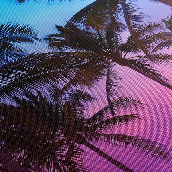 Slika - Palme u Miamiju (90x60 cm)