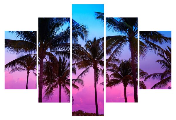Slika - Palme u Miamiju (150x105 cm)