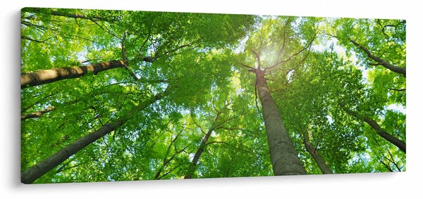 Slika - Šuma (120x50 cm)