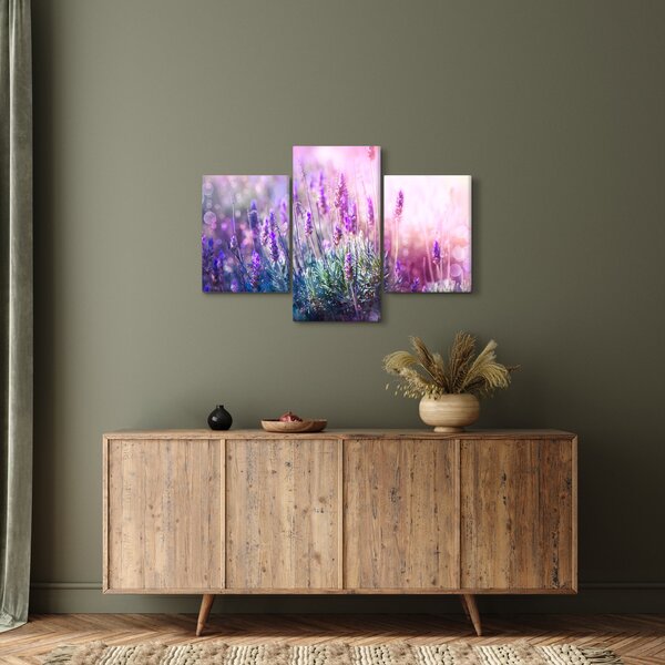Slika - Lavanda u sjaju sunca (90x60 cm)
