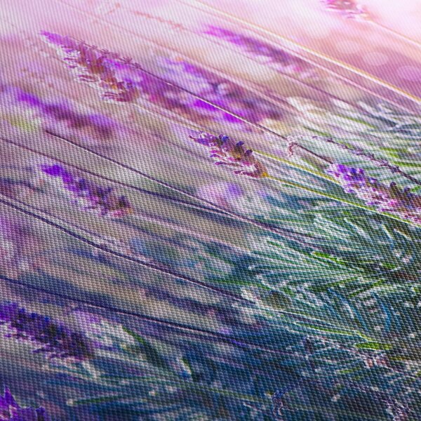 Slika - Lavanda u sjaju sunca (90x60 cm)