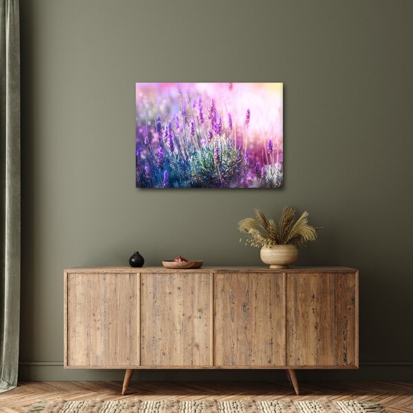 Slika - Lavanda u sjaju sunca (70x50 cm)