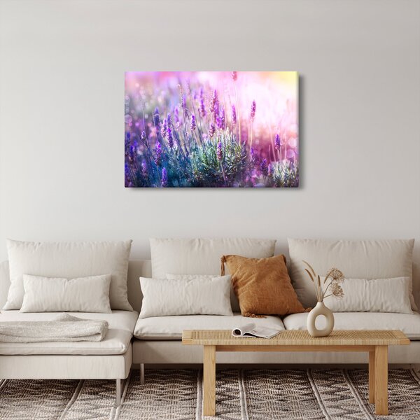 Slika - Lavanda u sjaju sunca (90x60 cm)