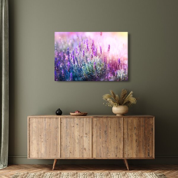 Slika - Lavanda u sjaju sunca (90x60 cm)