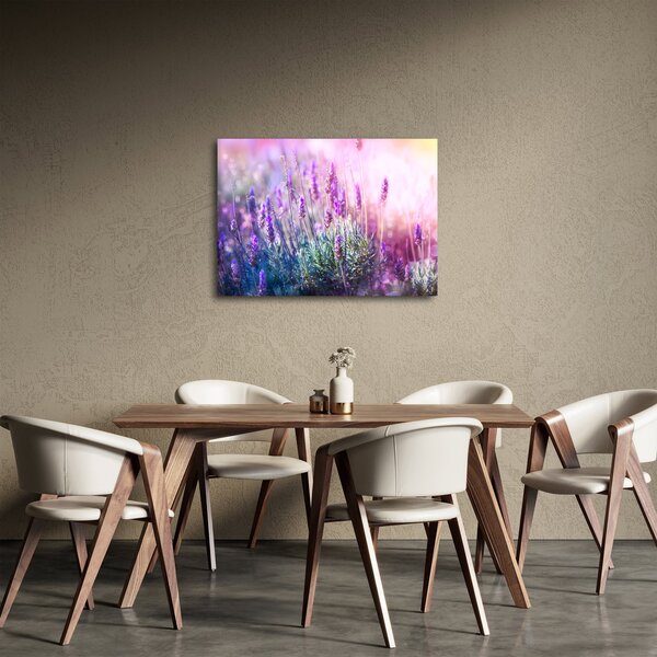 Slika - Lavanda u sjaju sunca (70x50 cm)