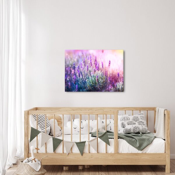 Slika - Lavanda u sjaju sunca (70x50 cm)