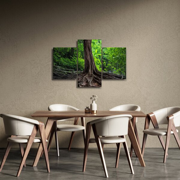 Slika - Staro drvo s korijenjem (90x60 cm)