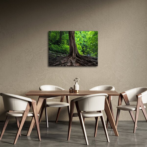Slika - Staro drvo s korijenjem (70x50 cm)