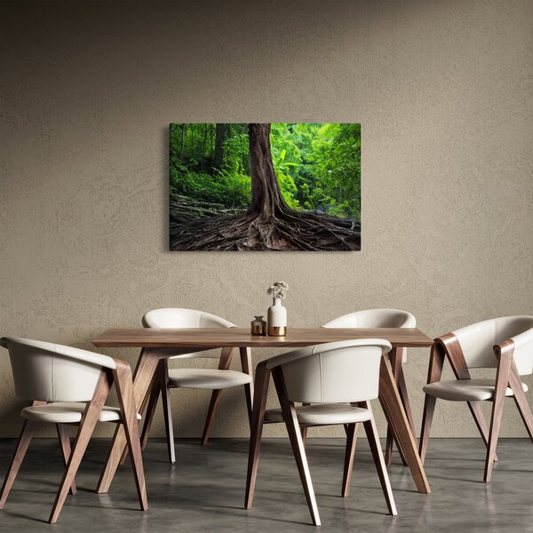Slika - Staro drvo s korijenjem (90x60 cm)
