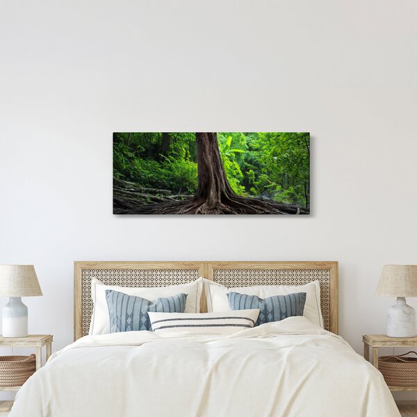 Slika - Staro drvo s korijenjem (120x50 cm)