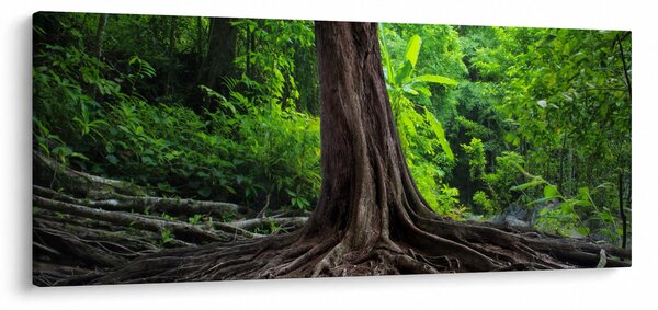 Slika - Staro drvo s korijenjem (120x50 cm)