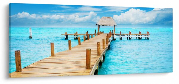 Slika - Mol (120x50 cm)