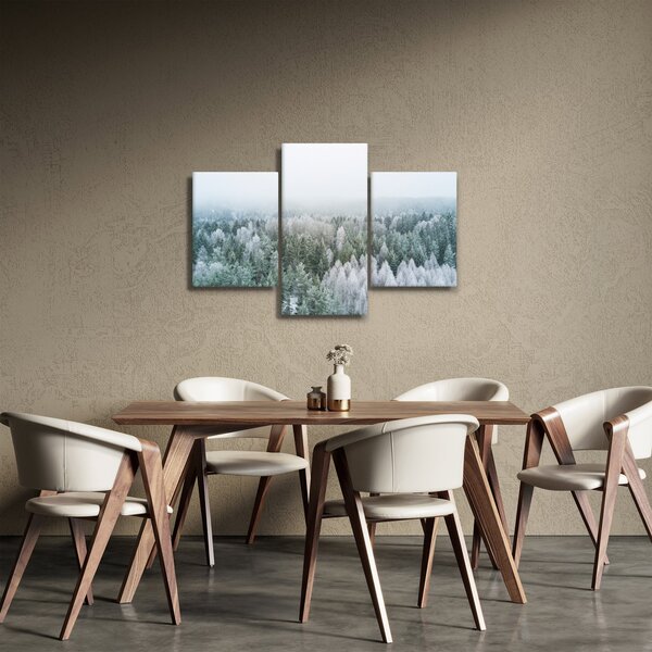 Slika - Snježni šumski vrhovi (90x60 cm)