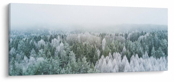 Slika - Snježni šumski vrhovi (120x50 cm)