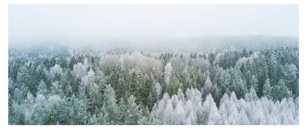 Slika - Snježni šumski vrhovi (120x50 cm)