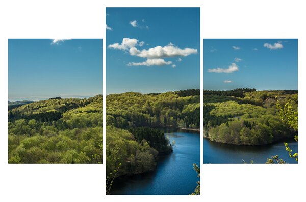 Slika - Jezero u šumi (90x60 cm)