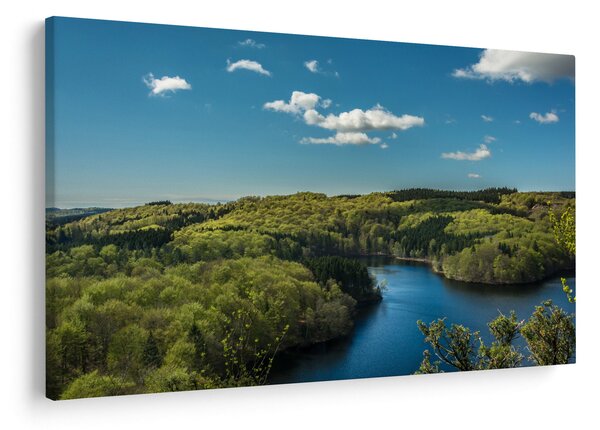Slika - Jezero u šumi (90x60 cm)