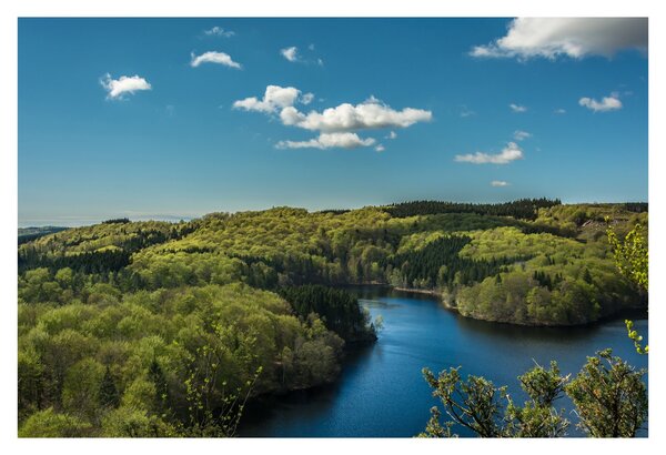 Slika - Jezero u šumi (90x60 cm)