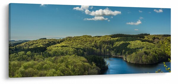 Slika - Jezero u šumi (120x50 cm)