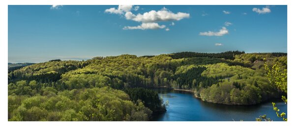 Slika - Jezero u šumi (120x50 cm)