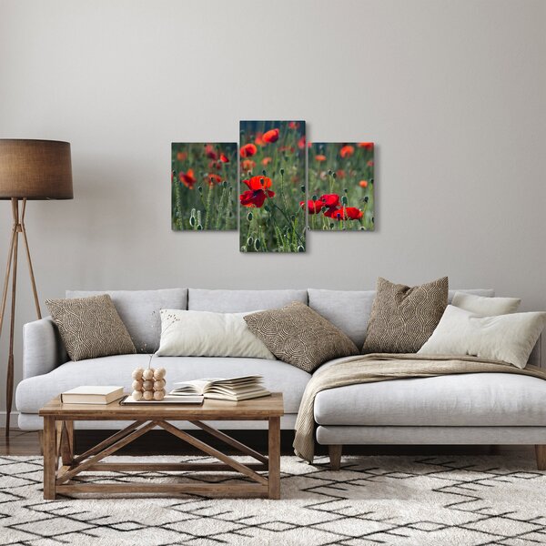 Slika - Livada s makom (90x60 cm)