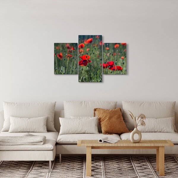 Slika - Livada s makom (90x60 cm)