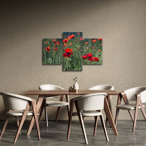 Slika - Livada s makom (90x60 cm)