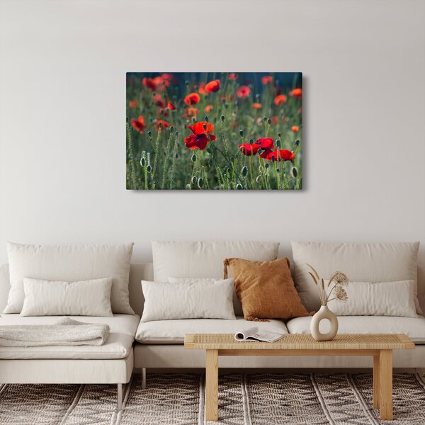 Slika - Livada s makom (90x60 cm)