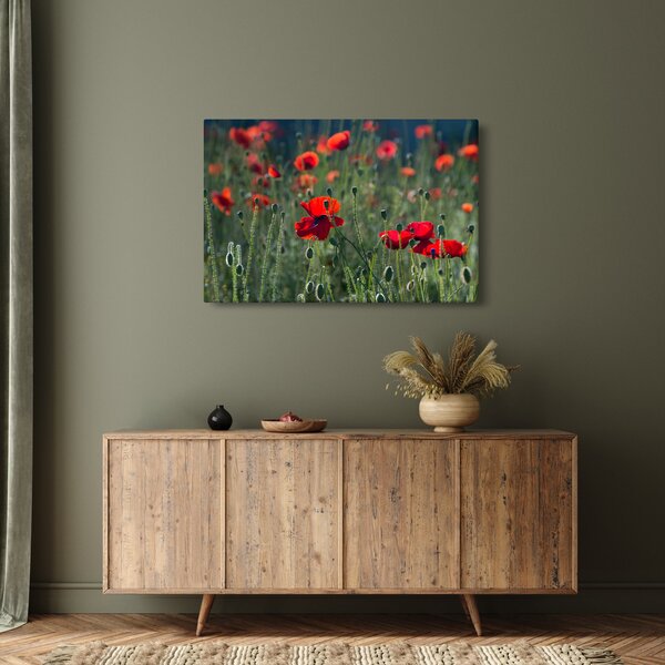 Slika - Livada s makom (90x60 cm)