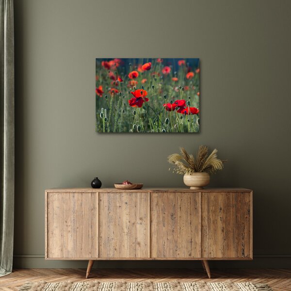 Slika - Livada s makom (70x50 cm)
