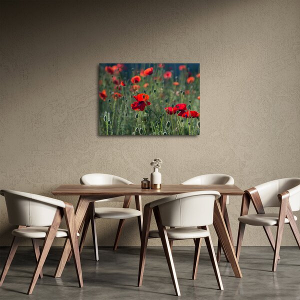 Slika - Livada s makom (70x50 cm)