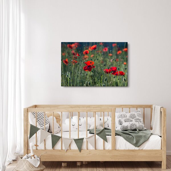 Slika - Livada s makom (90x60 cm)