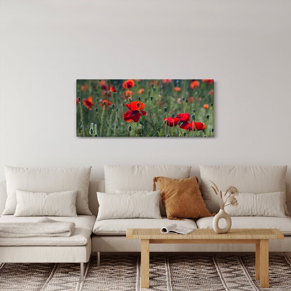 Slika - Livada s makom (120x50 cm)