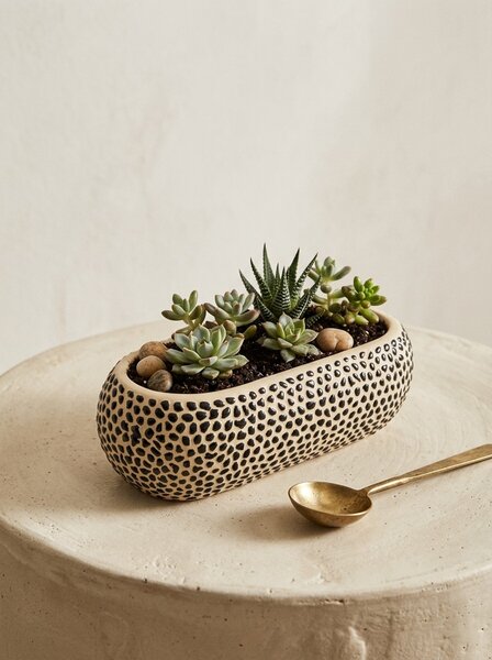 Sinsay - Tegla za biljke