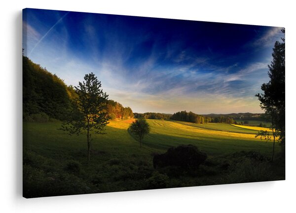 Slika - Planinska livada (90x60 cm)