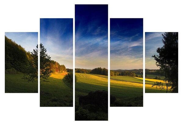 Slika - Planinska livada (150x105 cm)