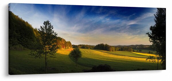 Slika - Planinska livada (120x50 cm)