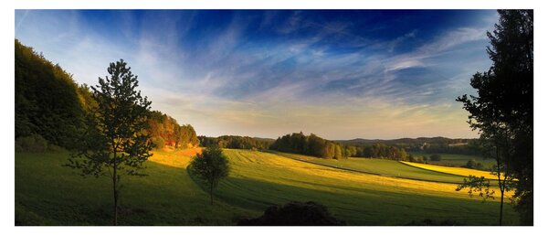 Slika - Planinska livada (120x50 cm)