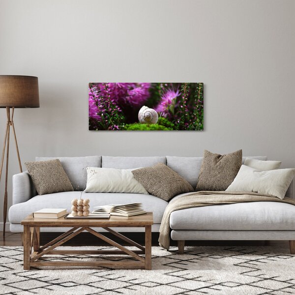 Slika - Puževa školjka (120x50 cm)