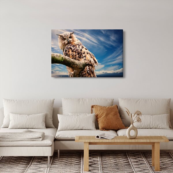 Slika - Sova (90x60 cm)