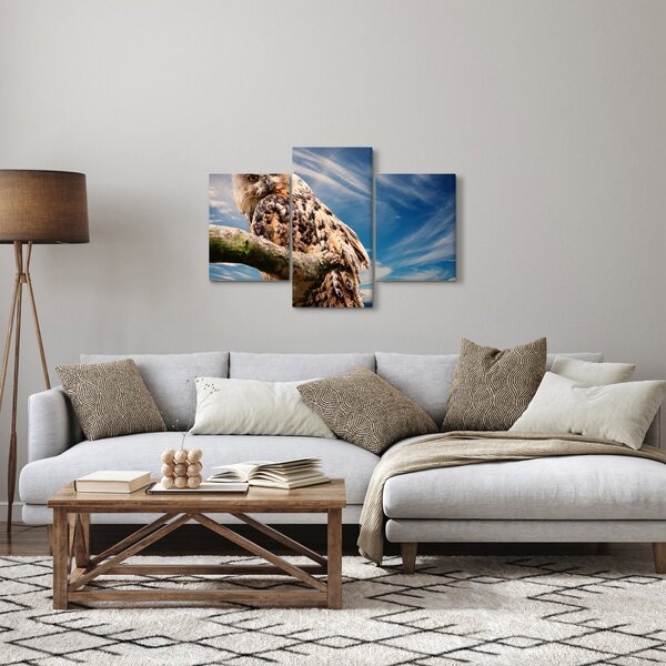 Slika - Sova (90x60 cm)