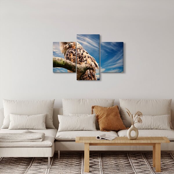 Slika - Sova (90x60 cm)