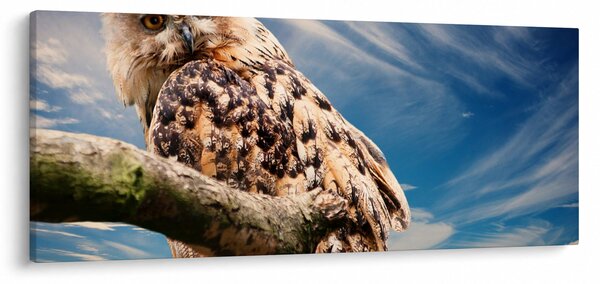 Slika - Sova (120x50 cm)