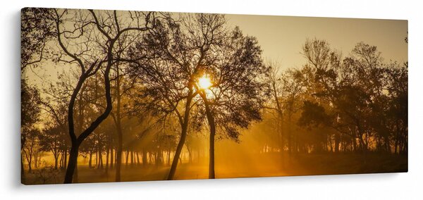 Slika - Izlazak sunca (120x50 cm)