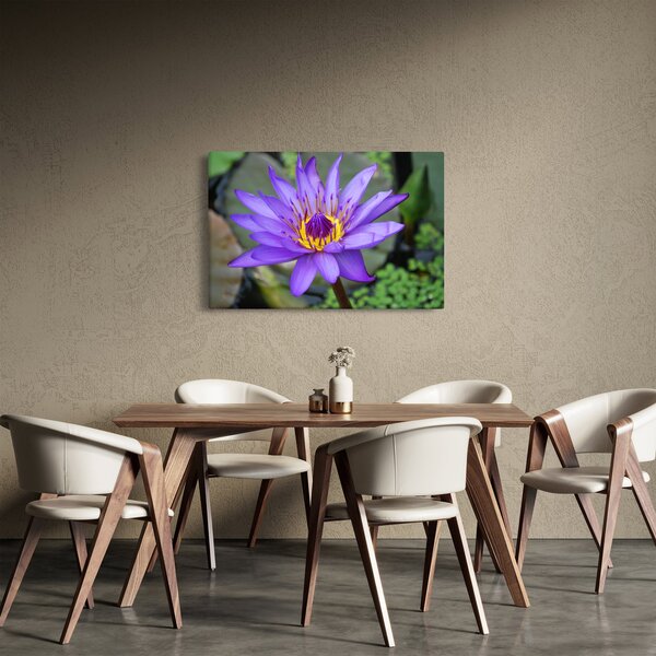 Slika - Ljubičasti cvijet (90x60 cm)